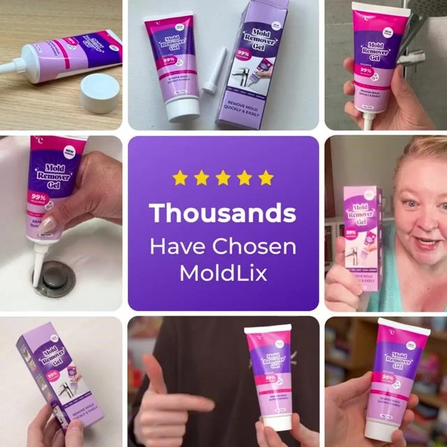 MoldLix image